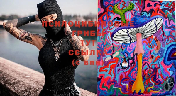 дмт Аркадак