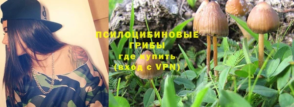 дмт Аркадак