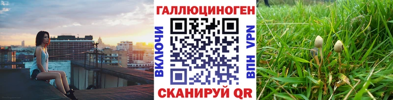 Псилоцибиновые грибы Psilocybine cubensis  hydra ТОР  Старица 